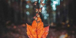 عکس پروفایل خاص و تک پسرانه و دخترانه + عکس خاص و زیبا
