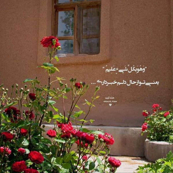 عکس پروفایل جدید امسال عکس پروفایل جدید ۱۴۰۰ عکس پروفایل جدید عکس پروفایل شیک عکس پروفایل خاص عکس پروفایل زیبا بدون متن بهترین عکس پروفایل