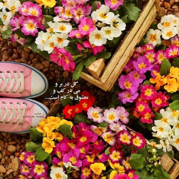 عکس نوشته های زیبا و مفهومی تصاویر زیبا با متن های آموزنده متن پروفایل خاص عکس نوشته خوشگل برای پروفایل عکس نوشته های مفهومی و سنگین عکس نوشته های زیبا با کیفیت عالی عکس پروفایل جدید امسال 