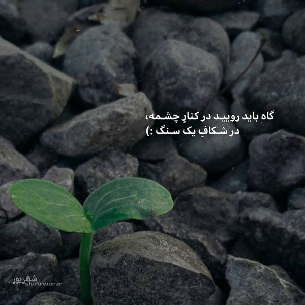 عکس نوشته انگیزشی از بزرگان عکس نوشته انگیزشی خفن عکس نوشته انگیزشی مثبت عکس نوشته انگیزشی با کیفیت عکس نوشته انگیزشی انگلیسی عکس نوشته انگیزشی دخترانه عکس نوشته انگیزشی موفقیت متن انگیزشی برای استوری