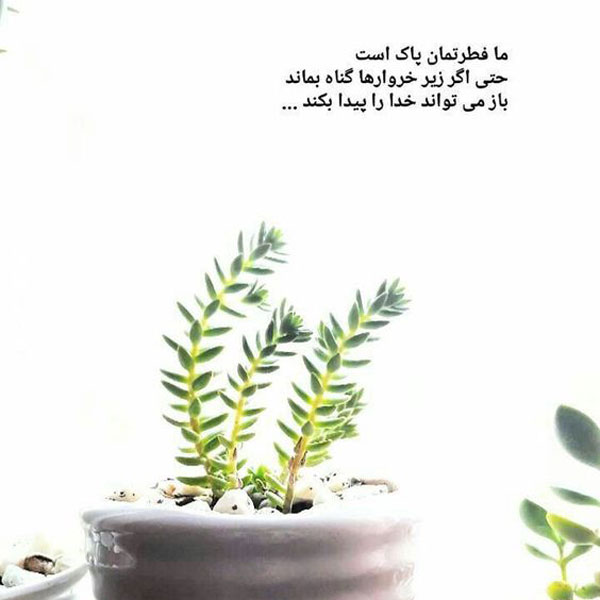 زیباترین عکس نوشته خدا عکس نوشته خدا برای پروفایل واتساپ عکس نوشته خدا جدید ۱۴۰۰ واقعی تصاویر عکس پروفایل خدا عکسهای کمیاب پروفایل خدا عکس نوشته خدا بزرگه