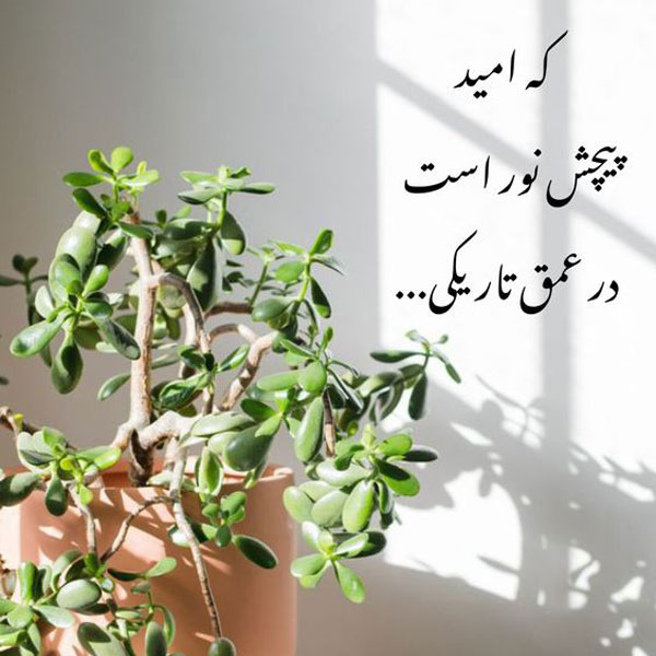عکس نوشته حال خوب با خدا پروفایل حال خوبزندگی  عکس نوشته حال خوب عاشقانه انرژی مثبت پروفایل حال خوب انرژی مثبت عکس نوشته حال خوب عکس نوشته حال خوب یعنی