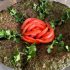 تزیین کوکو سبزی ساده و مجلسی با گوجه فرنگی برای مهمانی